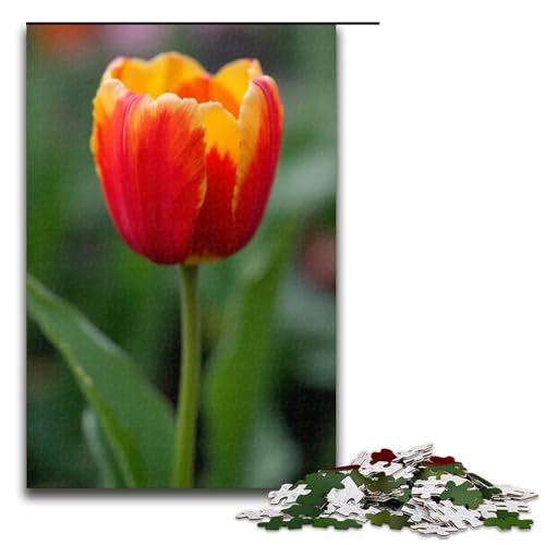 1000-teiliges Tulpen-Puzzle für Erwachsene unmögliches Puzzle zum Stressabbau für Teenager ab 14 Jahren 1000 Teile (75 x 50 cm) von mowenbingpeng