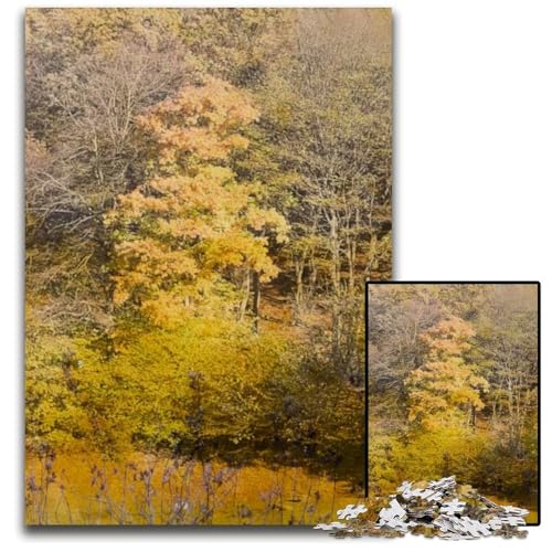 Gelbes HerbstwaldPuzzle 1000 Teile für Erwachsene Puzzle anspruchsvolles Denkspiel entspannendes Spielzeug für Teenager 1000 Teile (75 x 50 cm) von mowenbingpeng