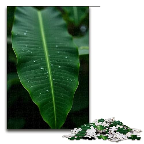 Puzzle 1000 Teile für Erwachsene Regen auf Bananenblättern Puzzle praktisches Spiel einzigartige Heimdekoration und Geschenke 1000 Teile (75 x 50 cm) von mowenbingpeng