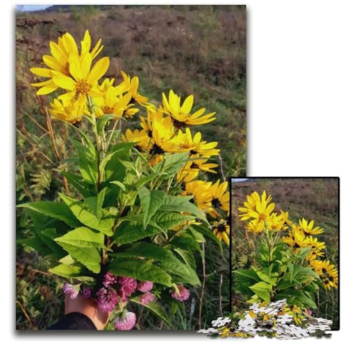 Puzzle 1000 Teile gelber Sonnenblumenstrauß schwierige Puzzles für Erwachsene Lernspielzeug für Jugendliche HeimbüroDekor 1000 PCS (38 x 26 cm) von mowenbingpeng