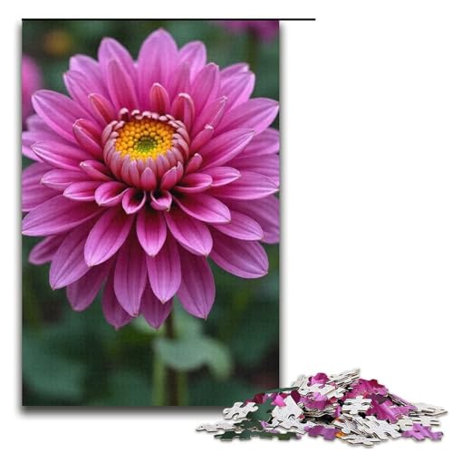 Puzzle für Erwachsene 1000 Teile Chrysanthemum Pride Puzzle Lernspiele für Zuhause DIY-Spielzeug tolles Geschenk für Spiele 1000 Teile (38 x 26 cm) von mowenbingpeng