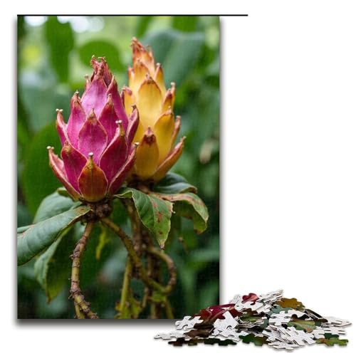 Puzzle für Erwachsene 1000 Teile Drachenfruchtgarten Holzpuzzle für Kinder Lernspiel 1000 Teile (75 x 50 cm) von mowenbingpeng