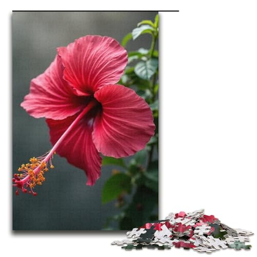 Puzzle für Erwachsene 1000 Teile Hibiskus spärliches Puzzle Lernspiele für Zuhause DIY-Spielzeug tolles Geschenk für Spiele 1000 Teile (38 x 26 cm) von mowenbingpeng