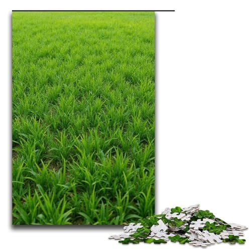 Puzzle für Erwachsene 1000 Teile Kleiner Rasen Heimdekoration Puzzle-Spielzeug Geschenk für die ganze Familie 1000 Teile (75 x 50 cm) von mowenbingpeng
