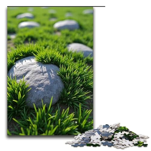 Puzzle für Erwachsene 1000 Teile Rock Weave Puzzle Lernspiele für Zuhause DIY-Spielzeug tolles Geschenk für Spiele 1000 Teile (75 x 50 cm) von mowenbingpeng