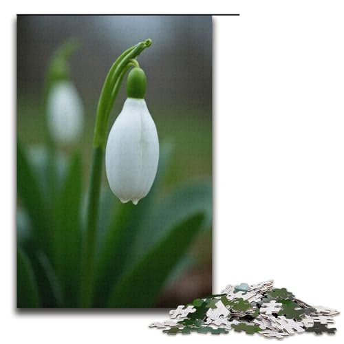 Puzzle für Erwachsene 1000 Teile Schneeglöckchen-Puzzle Geburtstagsgeschenk für Teenager ab 14 Jahren 1000 Teile (38 x 26 cm) von mowenbingpeng