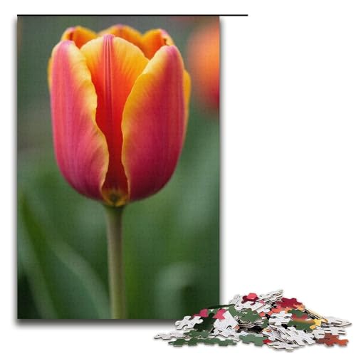 Puzzle für Erwachsene 1000 Teile Tulpen-Puzzle Holzpuzzle Lernspiel Herausforderungsspielzeug 1000 Teile (38 x 26 cm) von mowenbingpeng