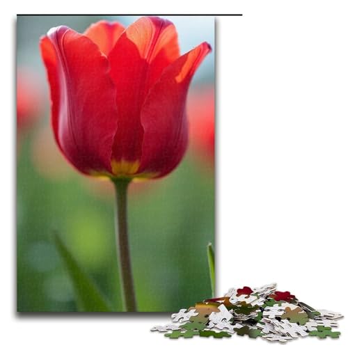 Puzzle für Erwachsene 1000 Teile Tulpen-Puzzle Holzpuzzle Lernspiel Herausforderungsspielzeug 1000 Teile (75 x 50 cm) von mowenbingpeng