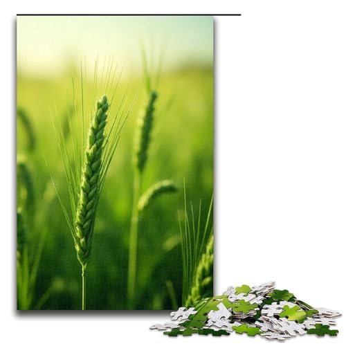 Puzzle für Erwachsene 1000 Teile Weizenfeld Grün Unmögliches Puzzle Familienspiel Stressabbau Schwierige Herausforderung 1000 Teile (75 x 50 cm) von mowenbingpeng