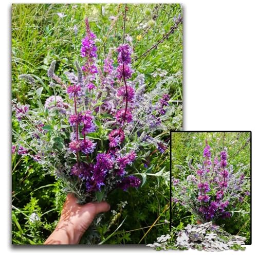 Puzzle für Erwachsene 1000 Teile WildblumenOpferPuzzles für Erwachsene FamilienspielabendSpaß DIYDekorationskunstwerk 1000 Teile (38 x 26 cm) von mowenbingpeng
