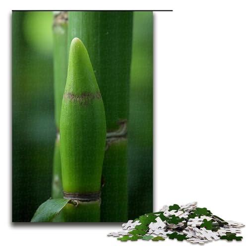 Puzzle für Erwachsene Bambussprossen nach dem Regen 1000 Teile Holzpuzzle für Erwachsene und Kinder ab 12 Jahren 1000 Teile (75 x 50 cm) von mowenbingpeng