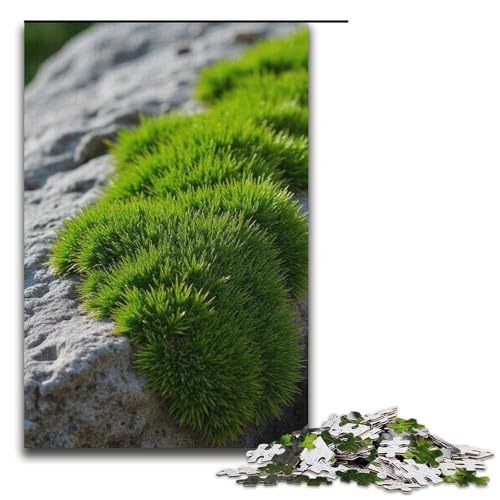 Puzzle für Erwachsene Felsgeflecht 1000 Teile Holzpuzzle für Kinder ab 12 Jahren anspruchsvolles Spiel 1000 Teile (38 x 26 cm) von mowenbingpeng