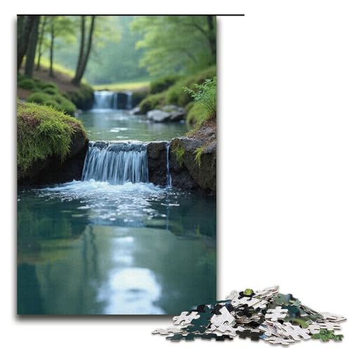 Puzzle für Erwachsene Klang des Quellwassers 1000 Teile tolles Geschenk geeignet für Teenager ab 14 Jahren 1000 Teile (38 x 26 cm) von mowenbingpeng