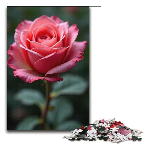 Puzzle für Erwachsene Rosenranke 1000 Teile Holzpuzzle für Erwachsene und Kinder ab 12 Jahren 1000 Teile (38 x 26 cm) von mowenbingpeng