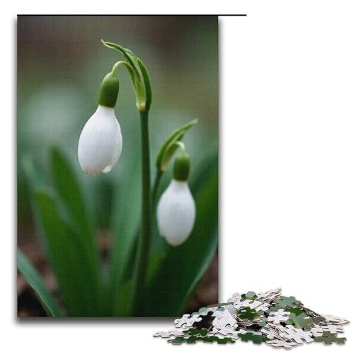 Puzzle für Erwachsene Schneeglöckchen 1000 Teile Holzpuzzle für Kinder ab 12 Jahren Heimdekoration 1000 Teile (38 x 26 cm) von mowenbingpeng
