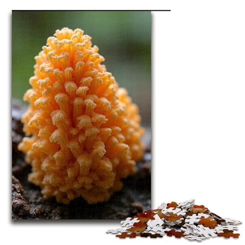 Puzzle für Erwachsene Wildpilze 1000 Teile Holzpuzzle für Kinder ab 12 Jahren Lernspielzeug 1000 Teile (75 x 50 cm) von mowenbingpeng
