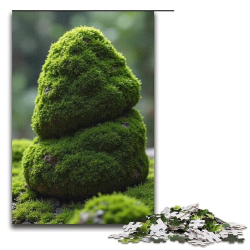 Puzzles 1000 Teile für Erwachsene Puzzles für Erwachsene 1000 Teile Puzzle Lernspiele-Moosstein von mowenbingpeng
