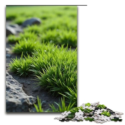 für Erwachsene Puzzle „Rock Weave 1000 Teile Holzpuzzle für Erwachsene und Kinder ab 12 Jahren 1000 Teile (75 x 50 cm) von mowenbingpeng