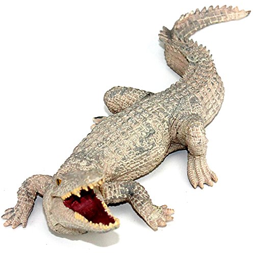 Musykrafties Jumbo-Spielset, Spielfiguren aus Plastik, Afrika, Dschungel, Tiere Gray Nile Crocodile Musykrafties Jumbo-Spielset, Spielfiguren aus Plastik, Afrika, Dschungel, Tiere Gray Nile Crocodile von musykrafties