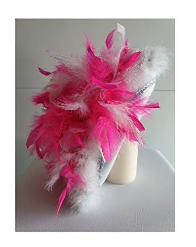 narrenkiste N3-55-56 weiß mit Silberborte und pink-weißer Boa Kinder-Damen Funkenhut Gr.55-56 narrenkiste N3-55-56 weiß mit Silberborte und pink-weißer Boa Kinder-Damen Funkenhut Gr.55-56 von narrenkiste