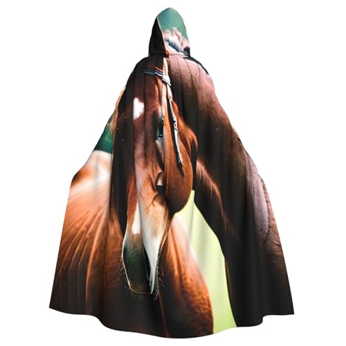 njkhbolk Unisex Kapuzenumhang mit zwei Pferden, volle Länge, Halloween-Umhang, Cosplay, Karneval njkhbolk Unisex Kapuzenumhang mit zwei Pferden, volle Länge, Halloween-Umhang, Cosplay, Karneval von njkhbolk