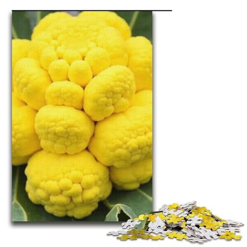 1000-teiliges Puzzle Blumenkohlgelb für Erwachsene Holzpuzzle anspruchsvolles Spiel 1000 Teile (38 x 26 cm) von ouynngjing