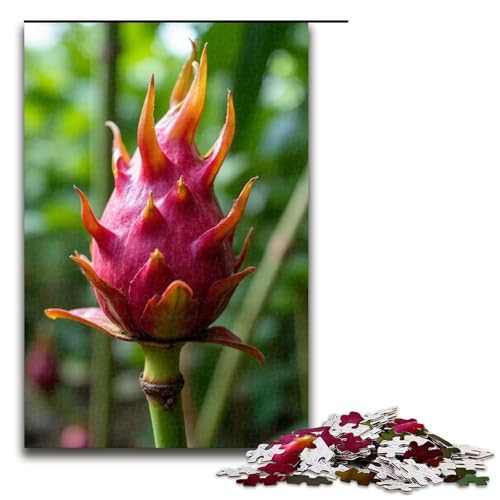 1000-teiliges Puzzle Drachenfruchtgarten für Erwachsene Holzpuzzle anspruchsvolles Spiel 1000 Teile (75 x 50 cm) von ouynngjing
