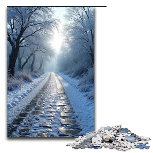 1000-teiliges Puzzle für Erwachsene Die Kopfsteinpflasterstraße ist mit silbernem Frost bedeckt Puzzle für Lernspiele Herausforderung Spielzeug Kunstwerk Geschenk 1000 Teile (75 x 50 cm) von ouynngjing