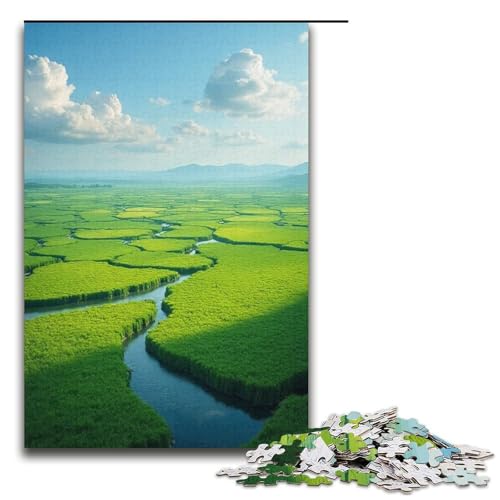 1000-teiliges Puzzle für Erwachsene Wassergefüllte Felder Puzzle praktisches Spiel 1000 Teile (38 x 26 cm) von ouynngjing