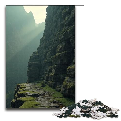 1000-teiliges Puzzle für Erwachsene wildes Gras bedeckt die alte Steinmauer Puzzle für Lernspiele Herausforderung Spielzeug Kunstwerk Geschenk 1000 Teile (75 x 50 cm) von ouynngjing