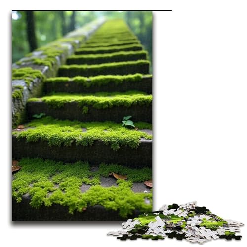 Puzzle für Erwachsene 1000 Teile Moos auf den Steinstufen Puzzlespiel lustiges Spielzeug 1000 Teile (75 x 50 cm) von ouynngjing