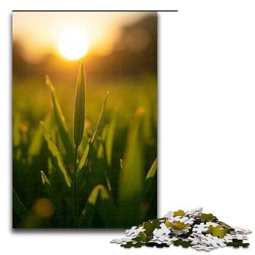 Puzzle für Erwachsene 1000 Teile Morgentau funkelt auf dem Gras Puzzlespiele Spielzeug Geschenk geeignet für die Schreibtischdekoration 1000 Teile (75 x 50 cm) von ouynngjing