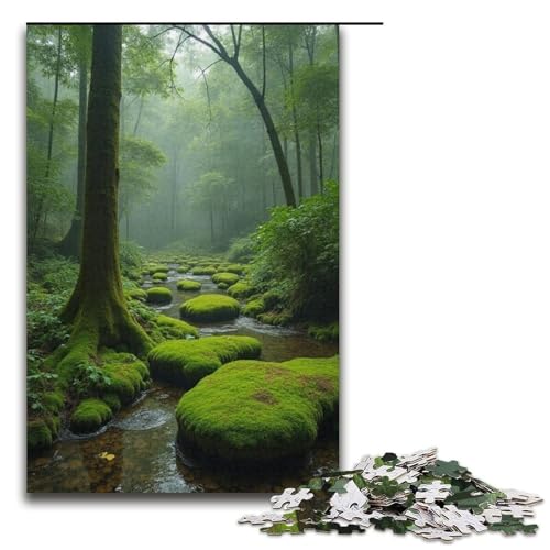 Puzzle für Erwachsene 1000 Teile Moss Well Silence Heimdekoration Puzzlespielzeug Geschenk für die ganze Familie 1000 Teile (38 x 26 cm) von ouynngjing