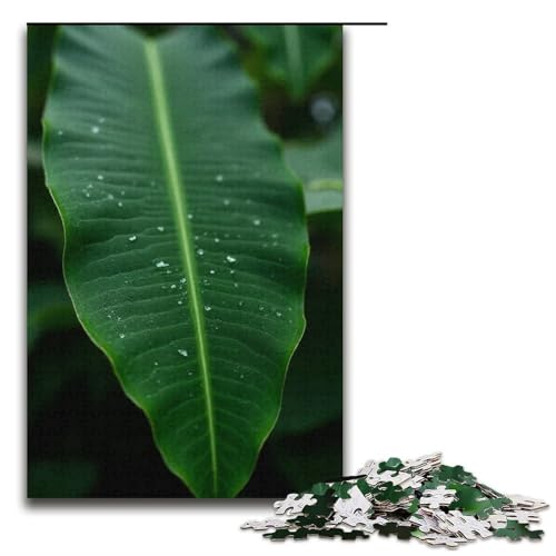 Puzzle für Erwachsene 1000 Teile Regen auf Bananenblättern Puzzlespiel Spielzeug lustig 1000 Teile (38 x 26 cm) von ouynngjing