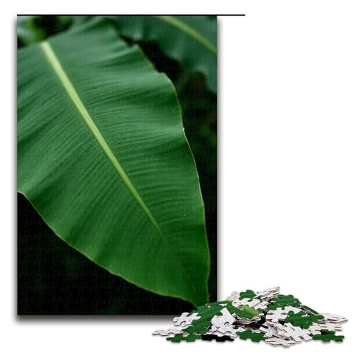 Puzzle für Erwachsene 1000 Teile Regen auf Bananenblättern Puzzlespiele Spielzeug Geschenk geeignet für die Schreibtischdekoration 1000 Teile (75 x 50 cm) von ouynngjing