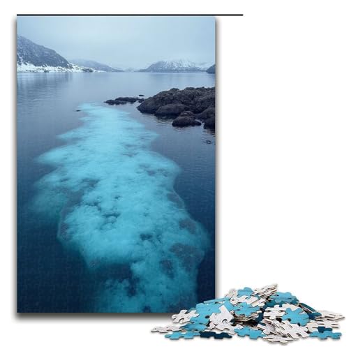 Puzzle für Erwachsene 1000 Teile Sandbank-Kältepuzzle Holzpuzzle Lernspiel Herausforderungsspielzeug 1000 Teile (75 x 50 cm) von ouynngjing