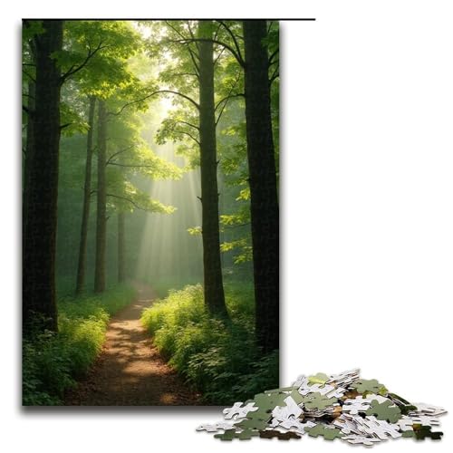 Puzzle für Erwachsene 1000 Teile Sonnenlicht durchdringt die Bäume Puzzle Lernspiele für Zuhause DIY-Spielzeug tolles Geschenk für Spiele 1000 Teile (75 x 50 cm) von ouynngjing