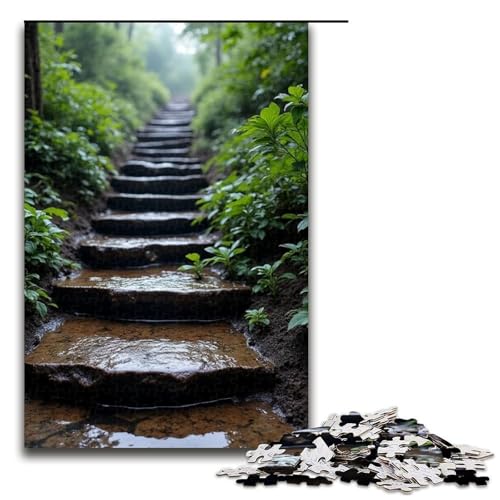 Puzzle für Erwachsene 1000 Teile nasse Steinstufen Holzpuzzle für Kinder Lernspiel 1000 Teile (75 x 50 cm) von ouynngjing