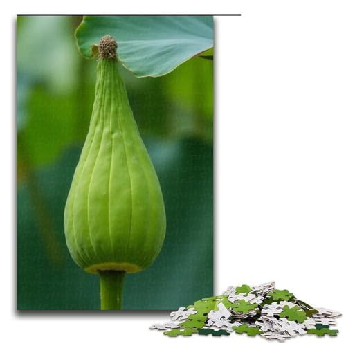 Puzzle für Erwachsene Lotusschoten zum Aufhängen 1000-teiliges Holzpuzzle für Kinder ab 12 Jahren Heimdekoration 1000 Teile (75 x 50 cm) von ouynngjing