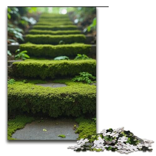 Puzzle für Erwachsene Moos auf den Steinstufen 1000 Teile Holzpuzzle für Kinder ab 12 Jahren anspruchsvolles Spiel 1000 Teile (38 x 26 cm) von ouynngjing