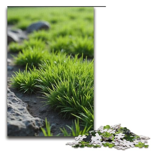 Puzzle für Erwachsene Rock Weave 1000-teiliges Holzpuzzle für Kinder ab 12 Jahren Lernspielzeug 1000 Teile (38 x 26 cm) von ouynngjing