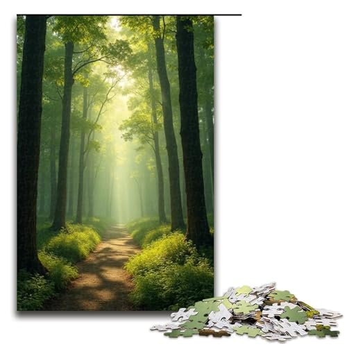 Puzzle für Erwachsene Sonnenlicht durchdringt die Bäume 1000-teiliges Holzpuzzle für Familienspiele 1000 Teile (75 x 50 cm) von ouynngjing