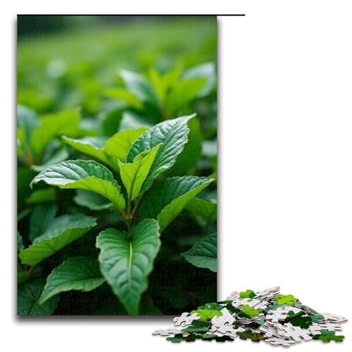 Puzzles 1000 Teile für Erwachsene Puzzles für Erwachsene 1000 Teile Puzzle Lernspiele-Blatt Puzzles 1000 Teile für Erwachsene Puzzles für Erwachsene 1000 Teile Puzzle Lernspiele-Blatt von ouynngjing
