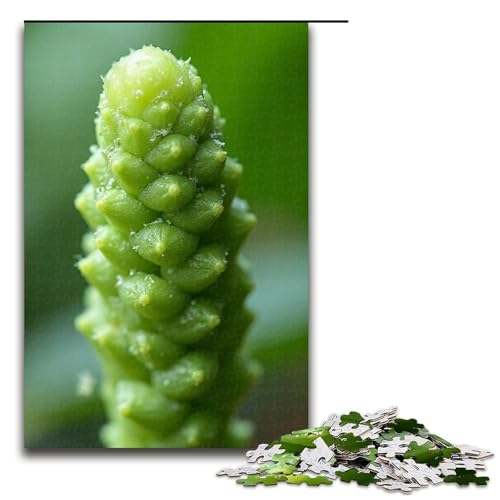 Puzzles 1000 Teile für Erwachsene Puzzles für Erwachsene 1000-teiliges Puzzle Lernspiele-Calamus Shake Puzzles 1000 Teile für Erwachsene Puzzles für Erwachsene 1000-teiliges Puzzle Lernspiele-Calamus Shake von ouynngjing