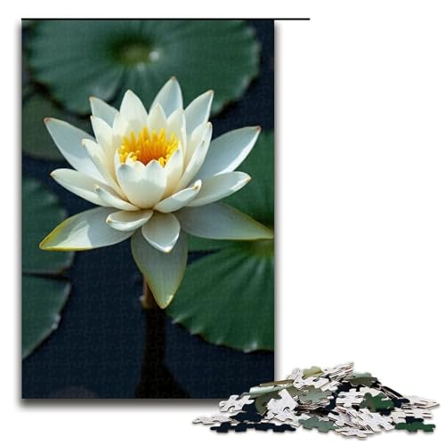 Puzzles 1000 Teile für Erwachsene Puzzles für Erwachsene 1000-teiliges Puzzle Lernspiele-Seerose von ouynngjing