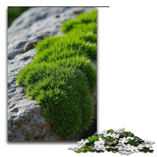 Puzzles für Erwachsene 1000 Teile Felsgeflechtmuster Zusammenbau hilft dem Gehirn süchtig machendes Spielzeug zur Förderung der Geduld 1000 Teile (75 x 50 cm) von ouynngjing