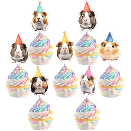 Meerschweinchen-Party-Dekorationen, 24 Stück, Motiv: Meerschweinchen, Cupcake-Aufsätze, bunte Party-Hut, Meerschweinchen, Cupcake-Picks, Tiermotiv-Kuchendekorationen für Jungen, Mädchen, Babyparty, von partiqla