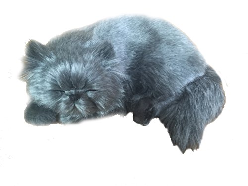 perfect petzzz Perserkatze, Plüsch, The Breathing Puppy perfect petzzz Perserkatze, Plüsch, The Breathing Puppy von perfect petzzz