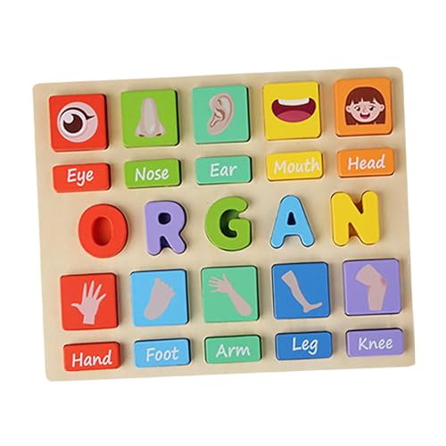perfk Montessori-Spielzeug, Puzzlespiel, passende Blöcke, Sortier- und Stapelspiel, kognitives Zuordnungsspiel für den Heimgebrauch, Garten, Schlafzimmer, Organ von perfk