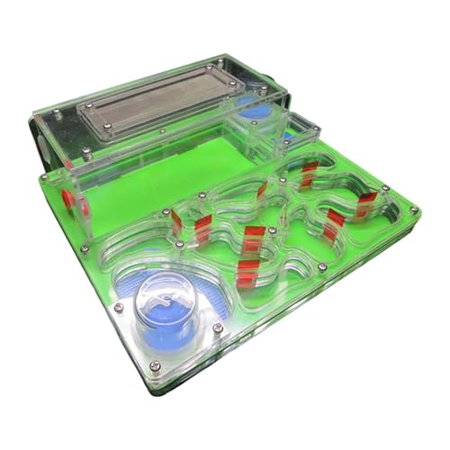 perfk Nest Farm Colony Lernspielzeug mit Fütterungsbereich, pädagogisches DIY rechteckiges Acryl-Schloss-Vivarium für Kinder, GrÜn perfk Nest Farm Colony Lernspielzeug mit Fütterungsbereich, pädagogisches DIY rechteckiges Acryl-Schloss-Vivarium für Kinder, GrÜn von perfk
